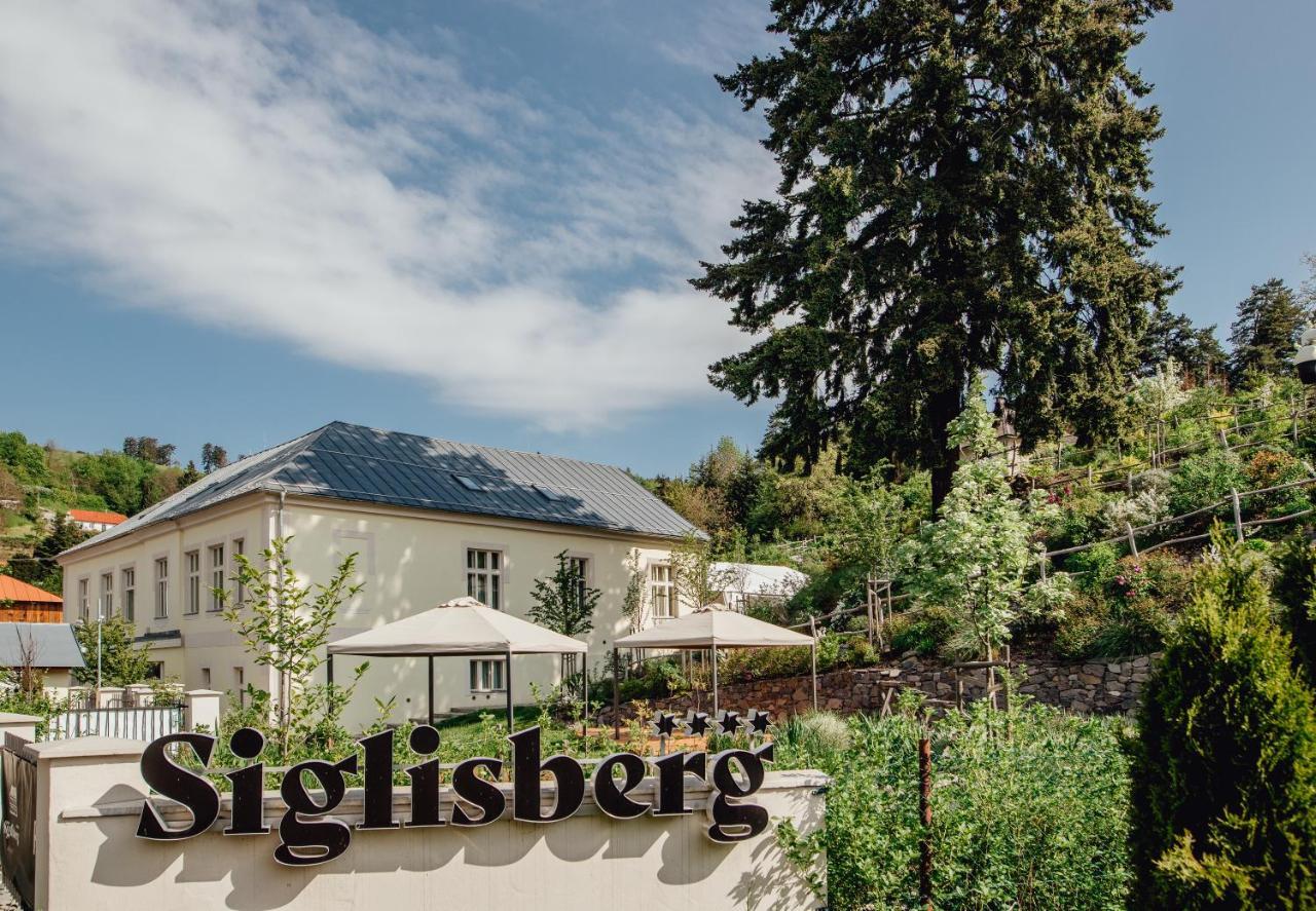Boutique Hotel Siglisberg Stiavnicke Bane Zewnętrze zdjęcie